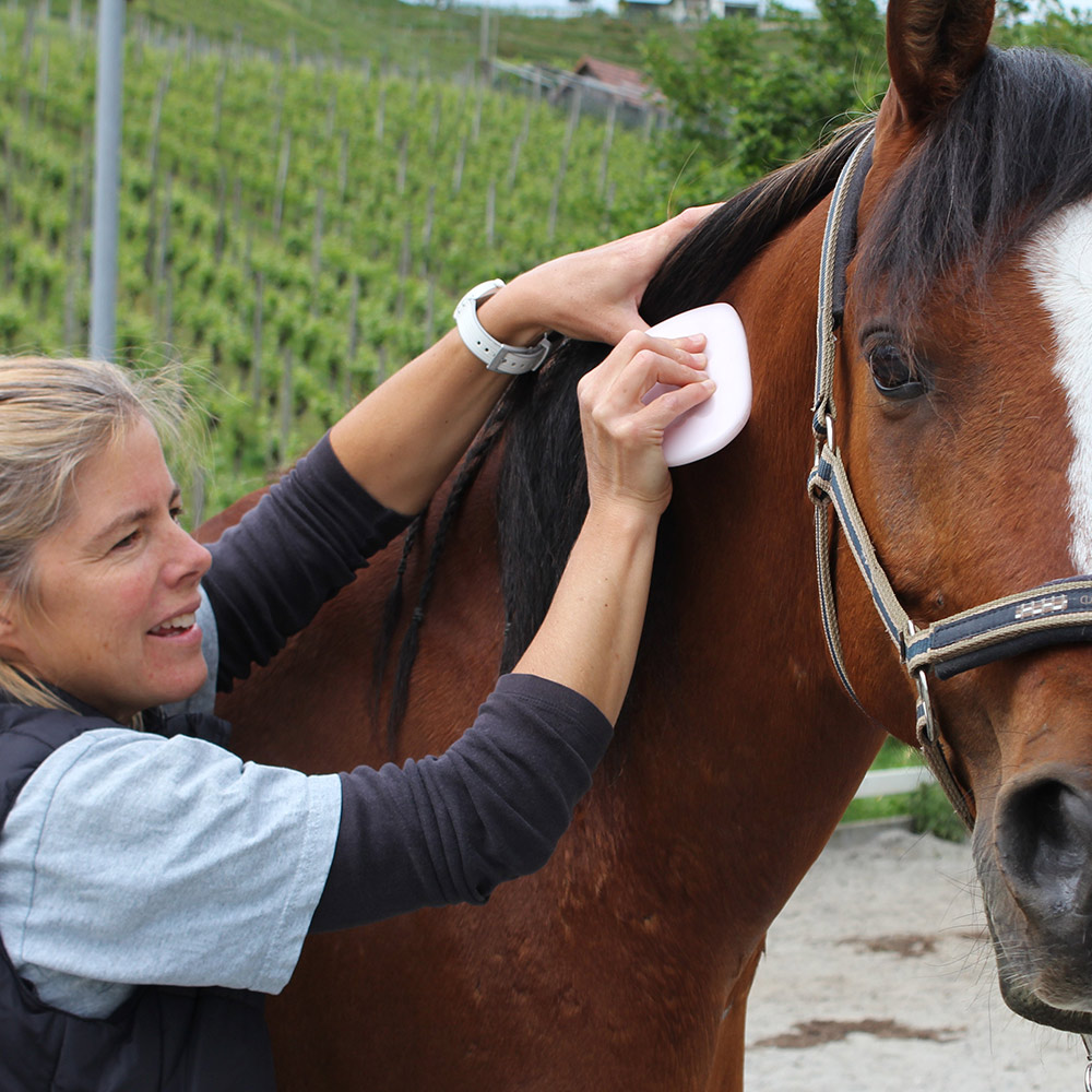 Katja Schnabel – Fasciadisc für Pferde